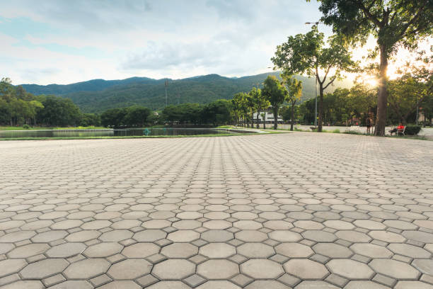 Best Driveway Paving Contractor  in Pioneer, CA